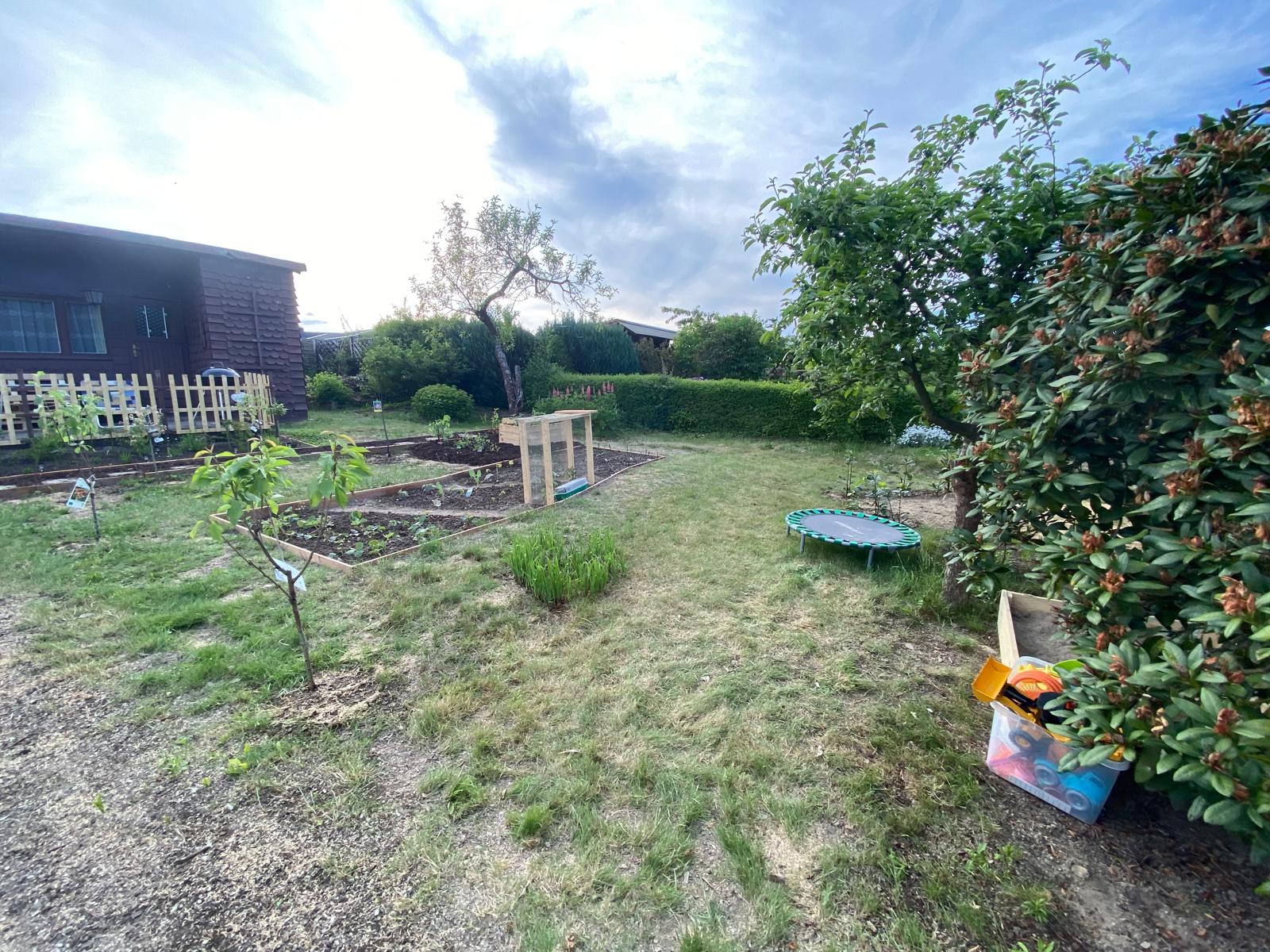 Beispiel 2 – Garten vorher