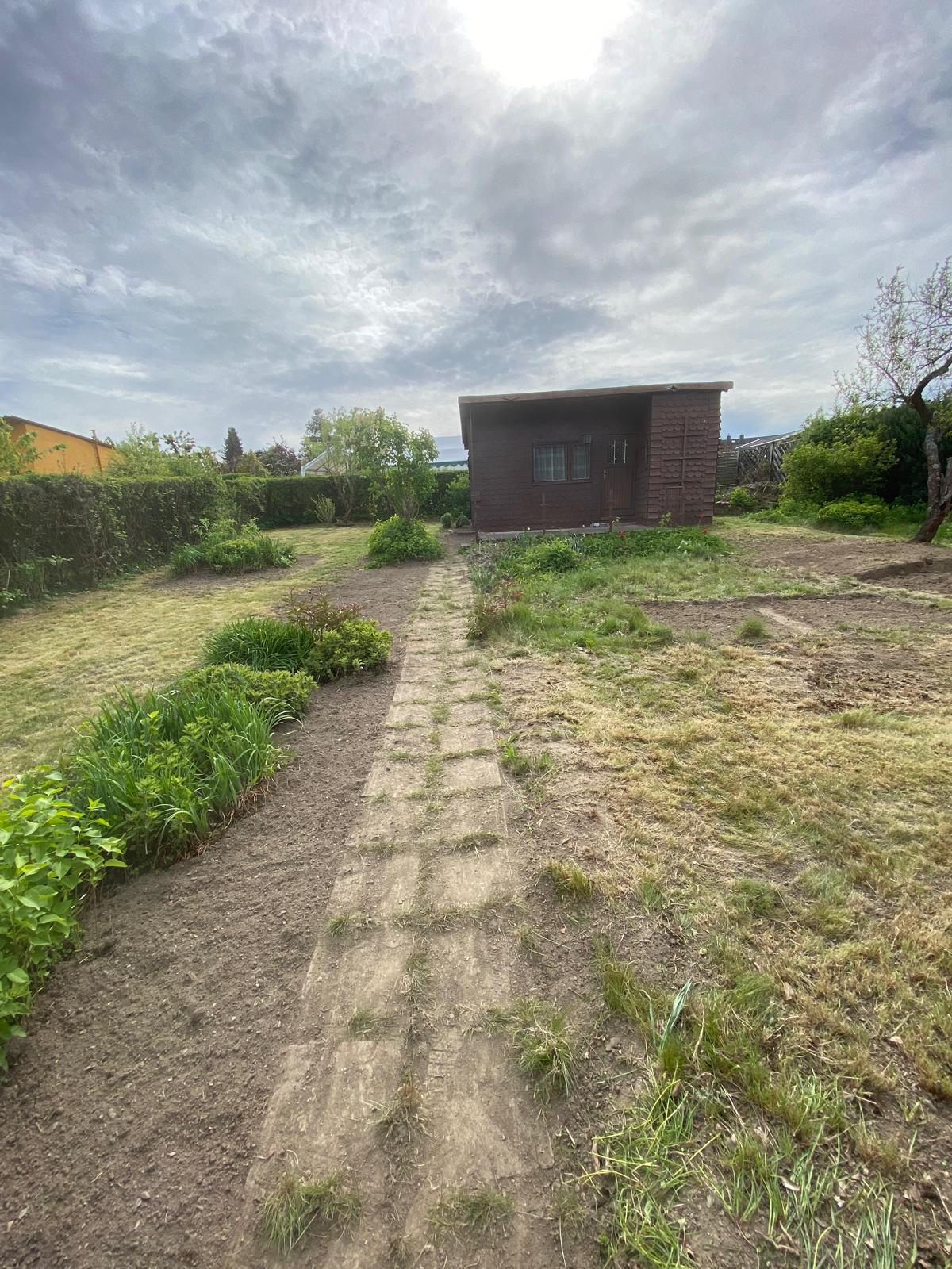 Beispiel 1 – Garten vorher